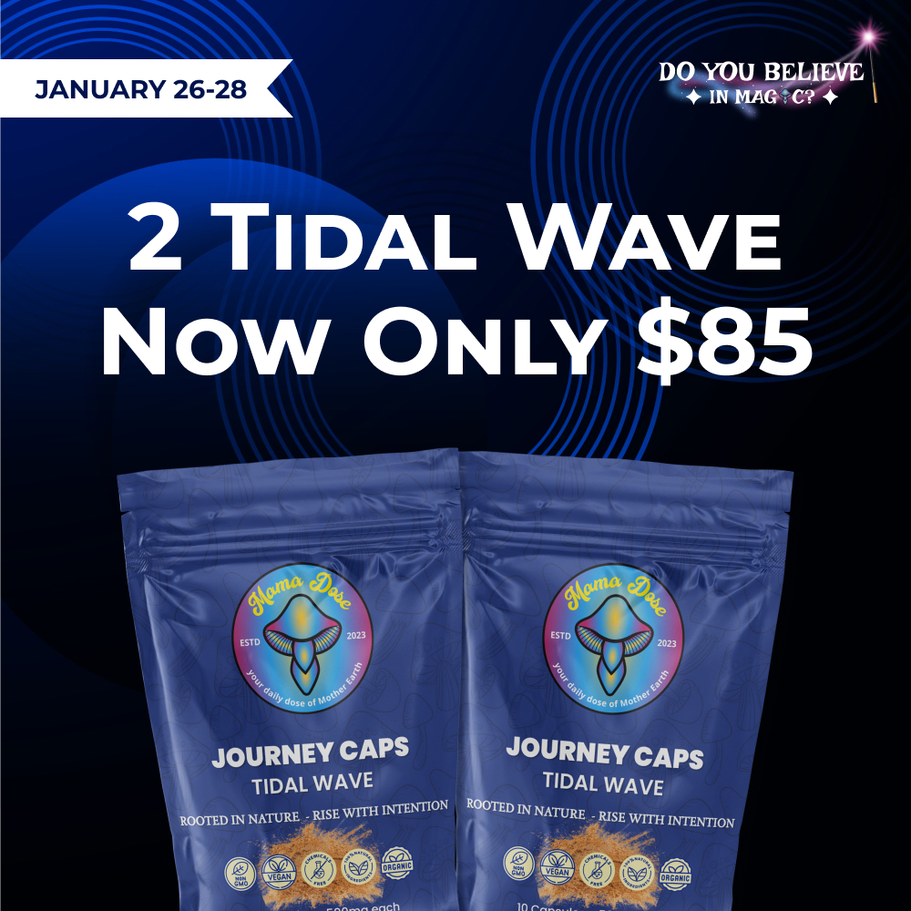 2 tidal wave for 85 1 1 banner