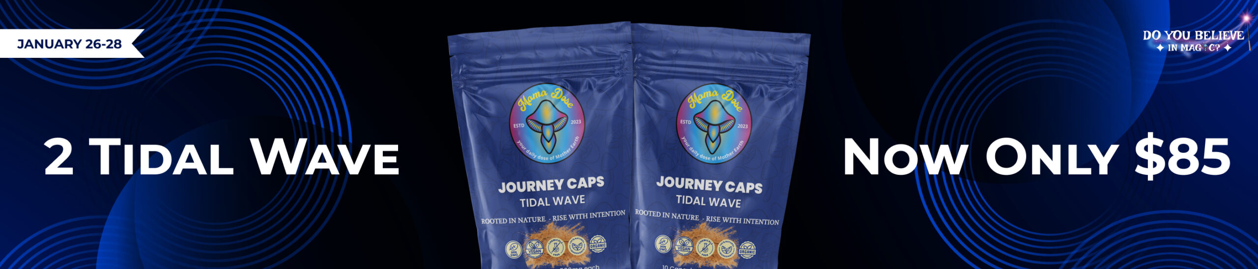 2 tidal wave for 85 web banner scaled