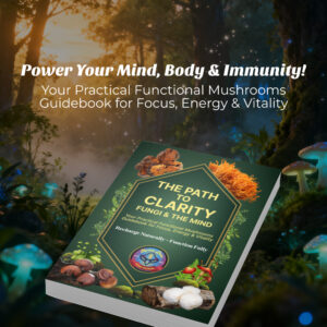 Functionals Guidebook launch 1x1 banner