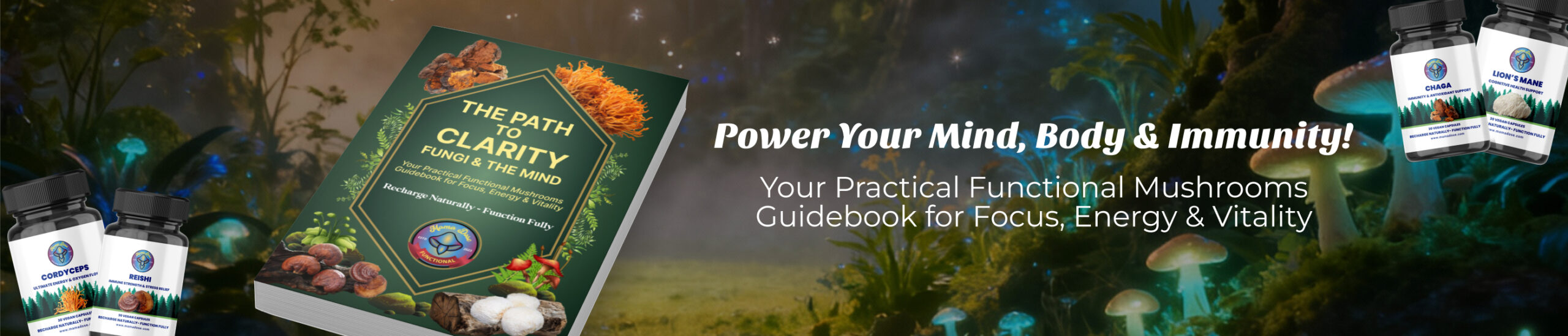 Functionals Guidebook launch web banner scaled