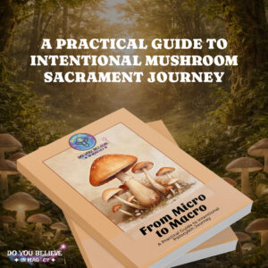 Micro vs Macro 1x1 banner