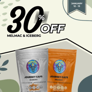 melmac and iceberg 30 off 1x1 1