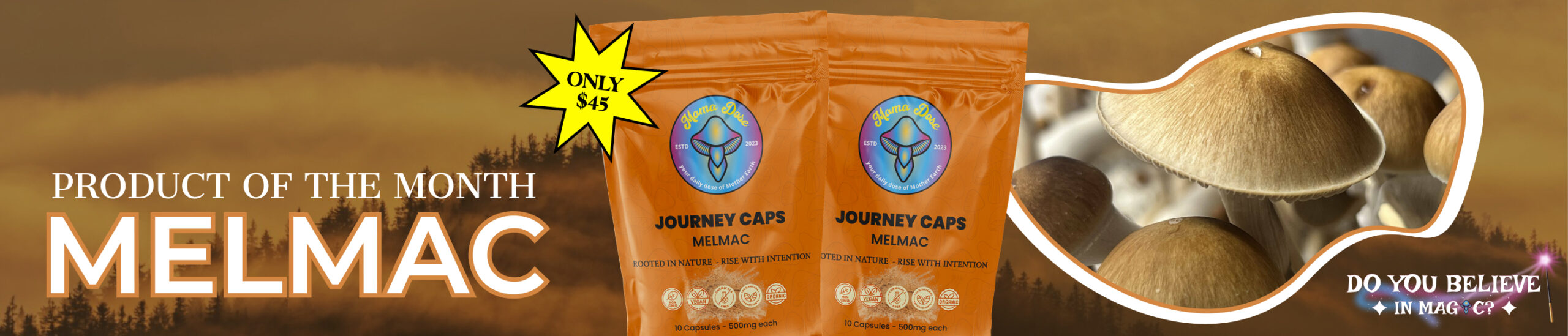 product of the month jan 2026 melmac web banner scaled