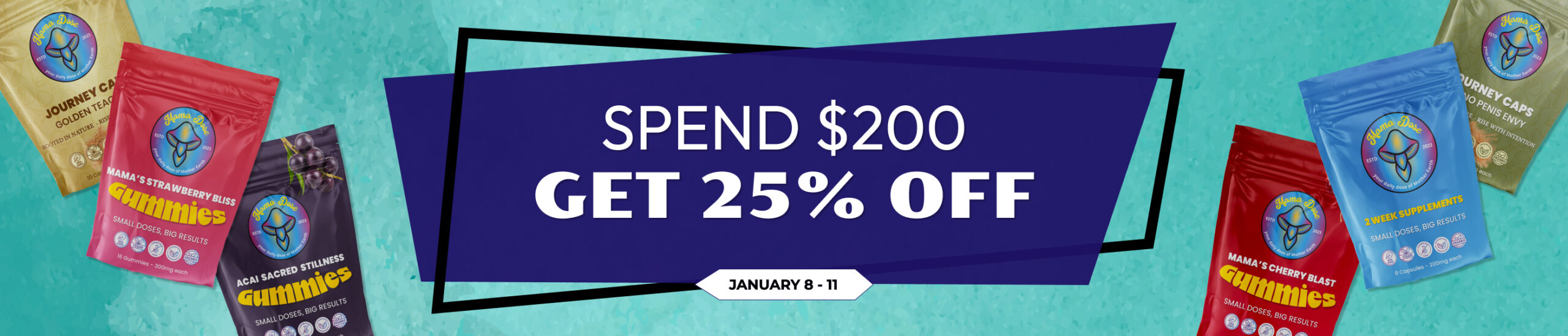 spend 200 get 25 off sale banner scaled