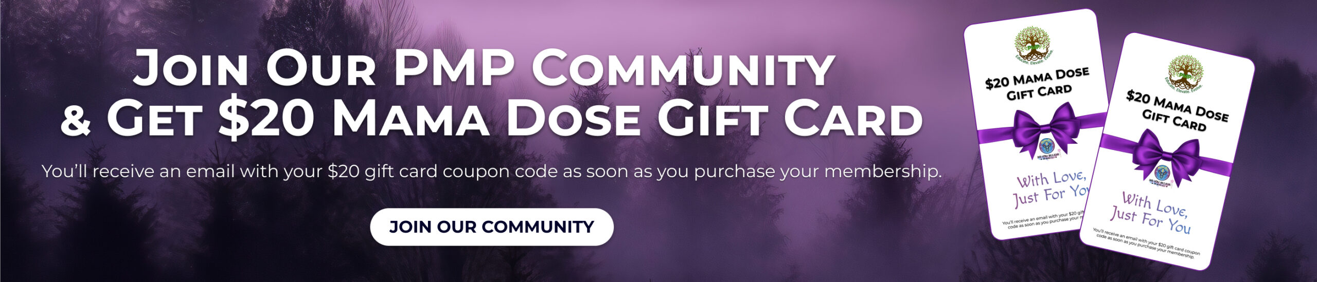 join pmp and get 20 coupon web banner scaled