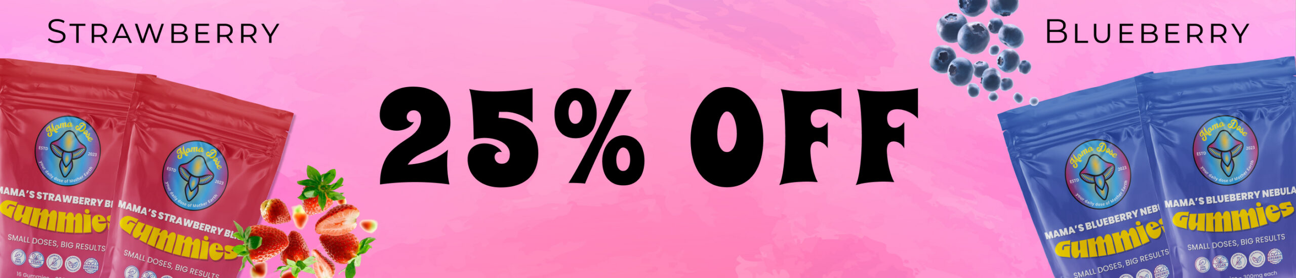 strawberry and blueberry 25 off web banner scaled