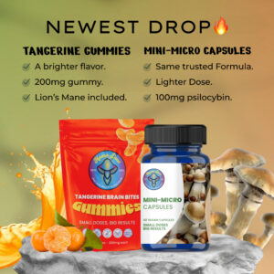 tangerine and minimicro capsules launch 1 1 banner