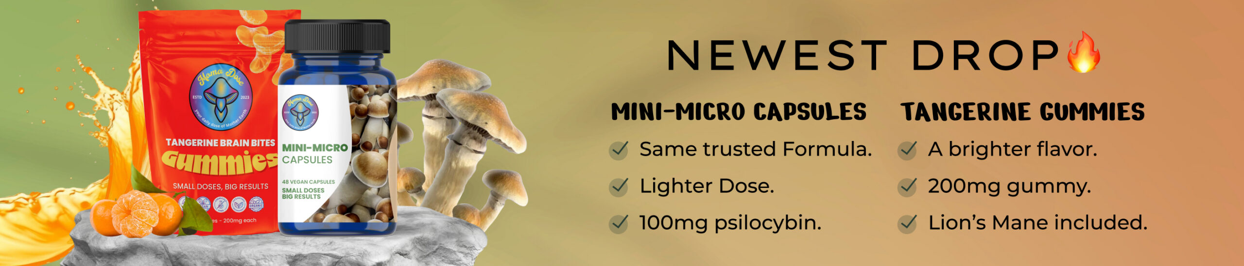 tangerine and minimicro capsules launch web banner scaled