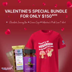 valentines day bundle 1 1 banner