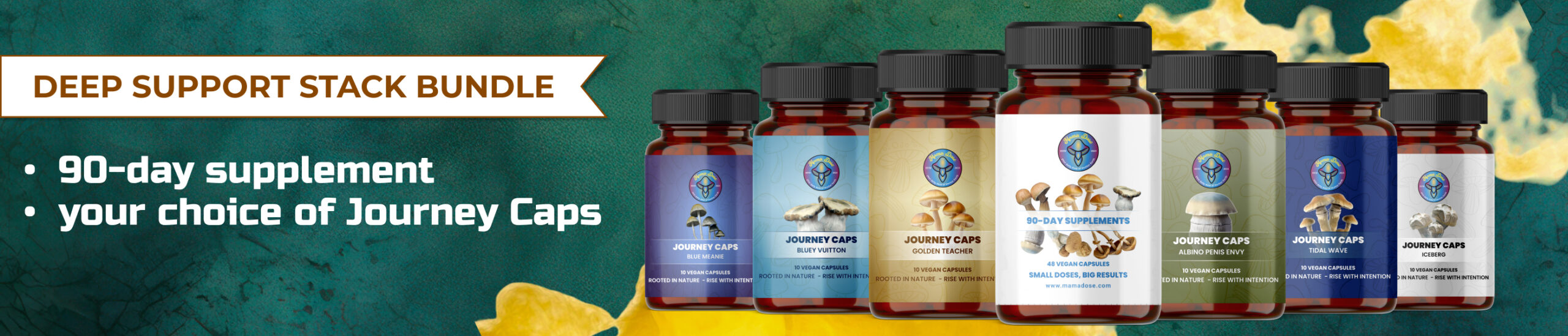 deep support stack bundle web banner scaled