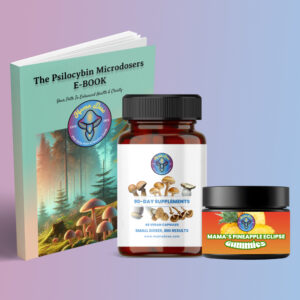 Protocol Starter Stack