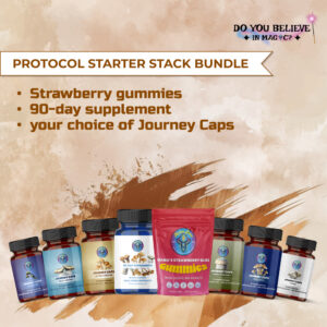 protocol starter stack bundle 1 1 banner