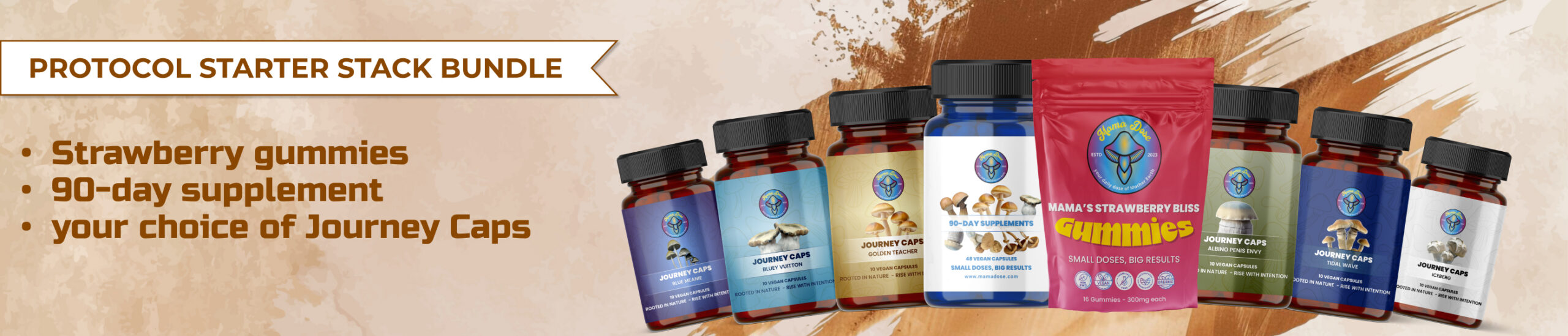 protocol starter stack bundle web banner scaled