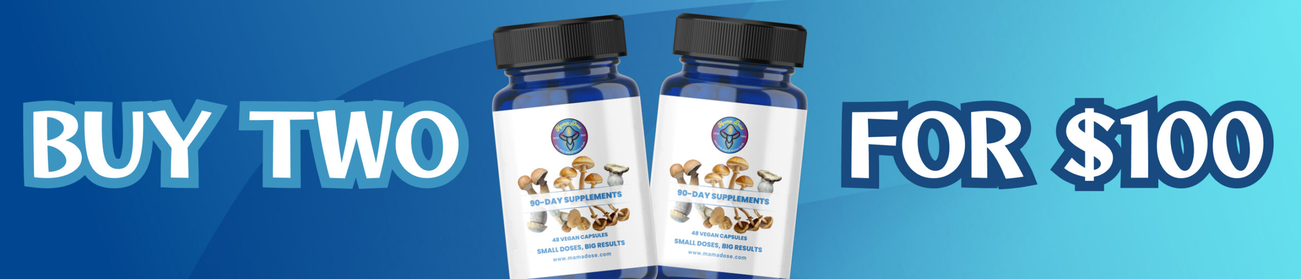 two 90day for 100 web banner scaled