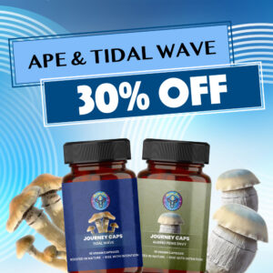 ape and tidal wave 30 off 1 1 banner