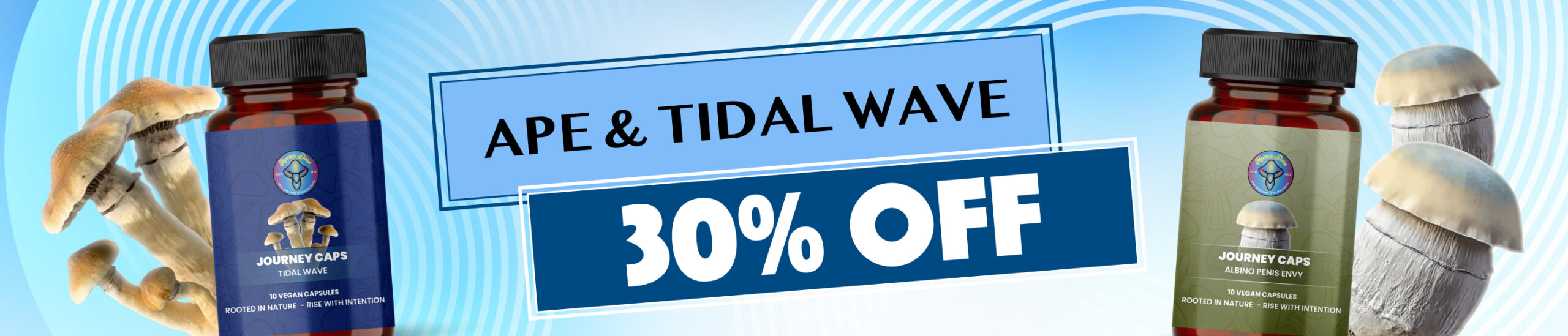ape and tidal wave 30 off web banner scaled