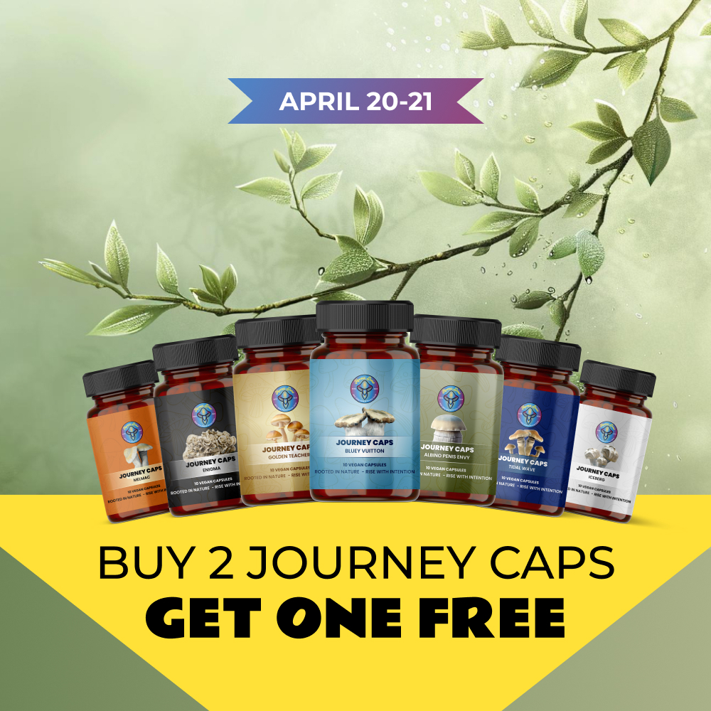 btgo journey caps mobile banner