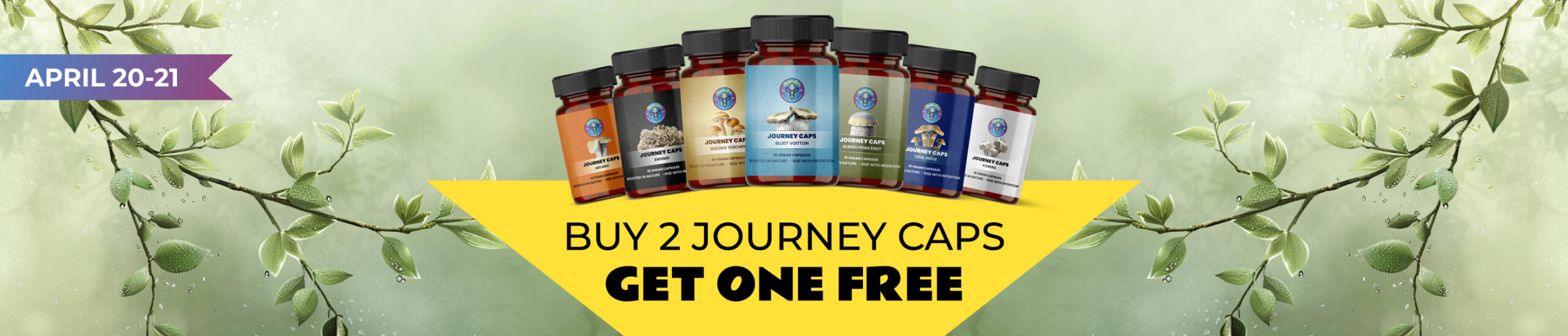 btgo journey caps web banner scaled