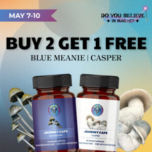 Blue Meanie and Casper Buy 2 Get 1 Free 1 1 banner