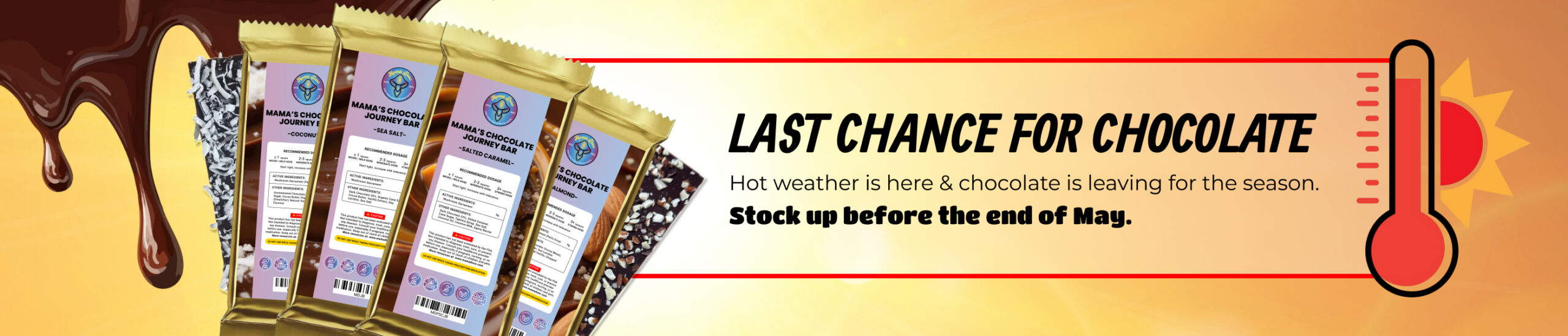 last chance for chocolate web banner scaled
