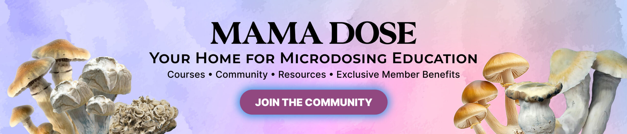 mama dose community web banner 1 scaled