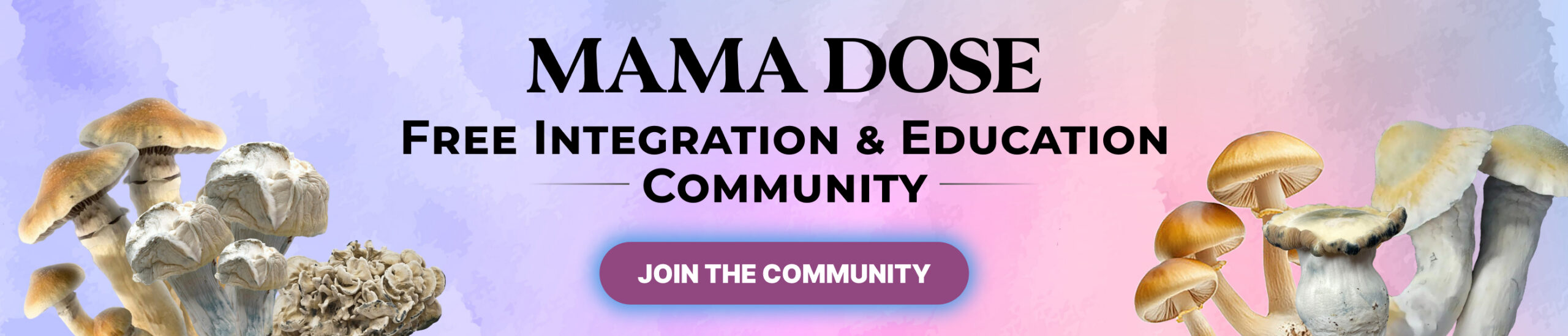 mama dose community web banner scaled