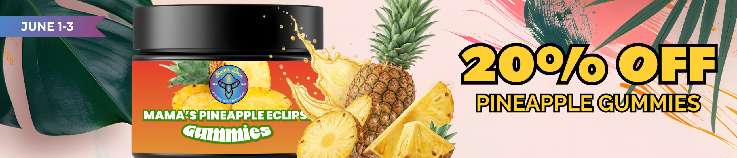 pineapple 20 off web banner scaled