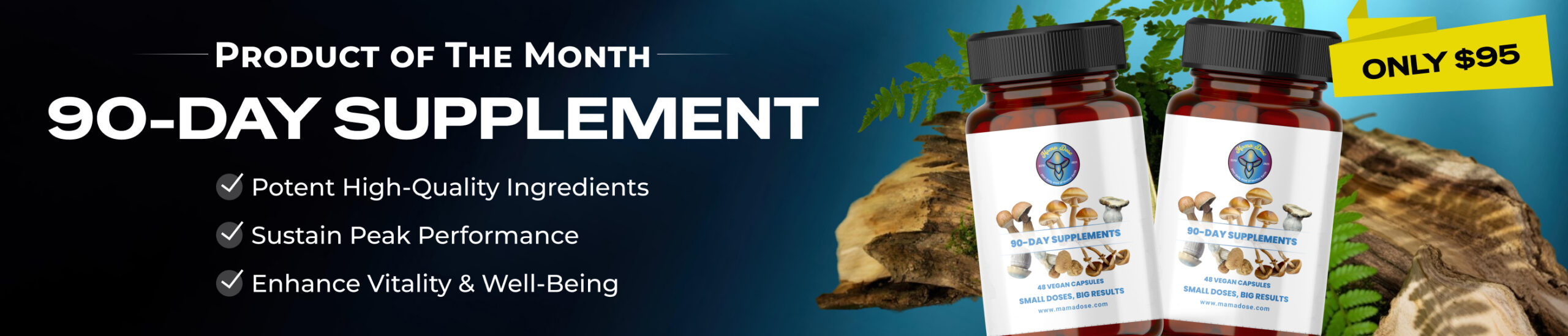 product of the month 90day may web banner scaled