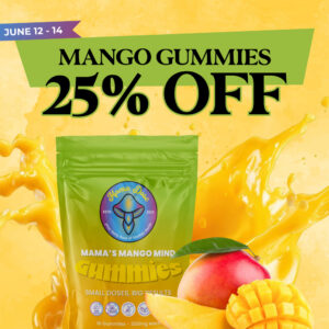 25 off mango 1 1 banner