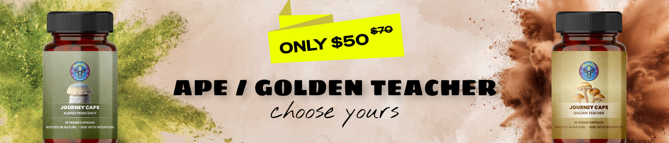 ape and golden teacher for 50 web banner scaled