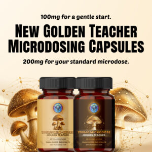 200mg and 100mg golden teacher launch 1 1 banner