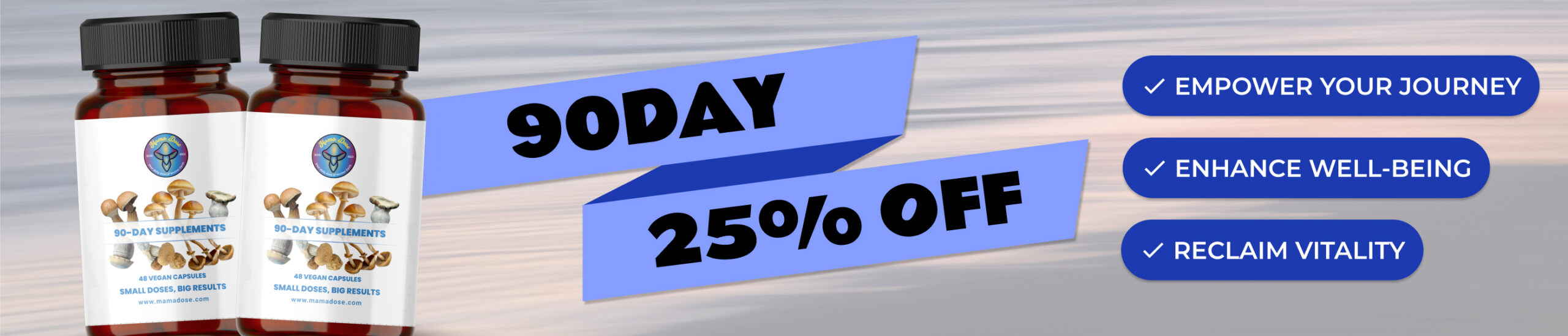 90day 25 off web banner scaled