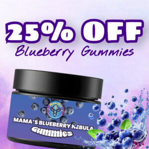 blueberry 25 off 1 1 banner