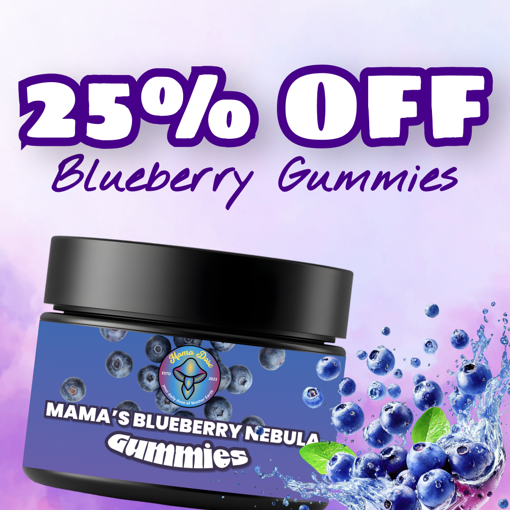 blueberry 25 off 1 1 banner