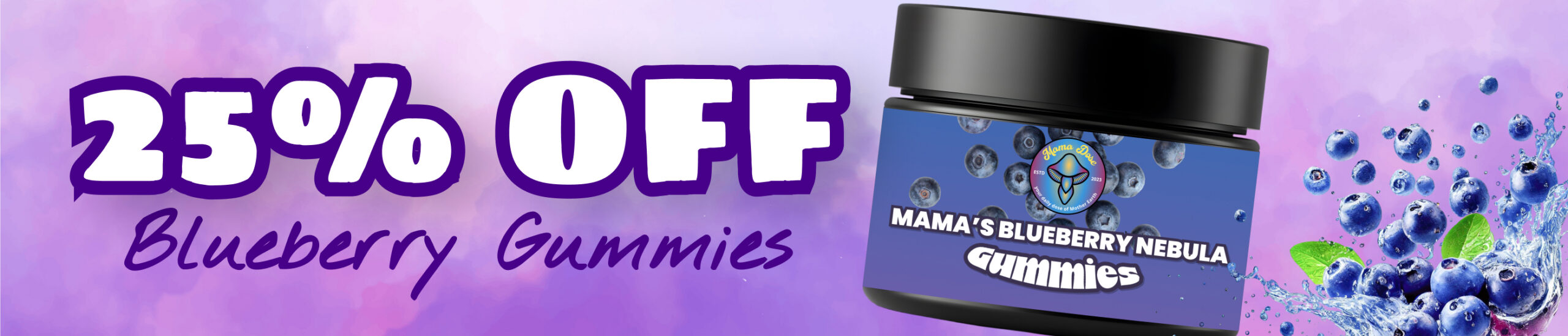 blueberry 25 off web banner scaled