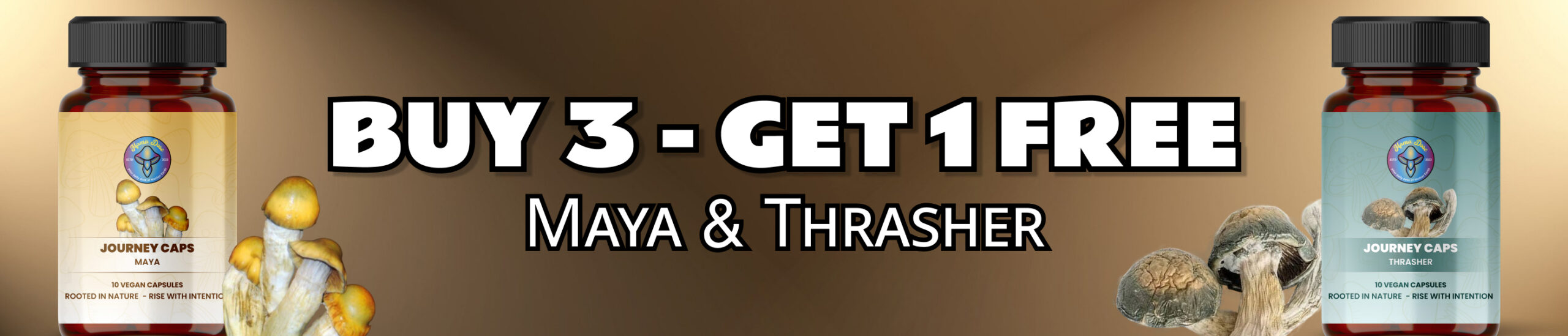 buy 3 get 1 free maya and thrasher web banner scaled