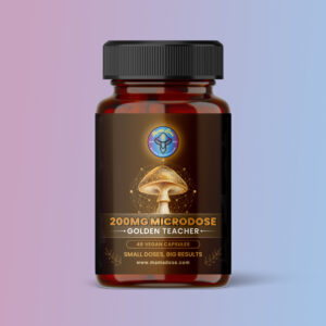 Microdose Golden Teacher