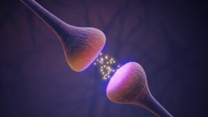 Neurotransmitters