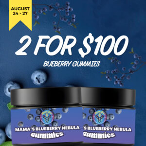 blueberry 2 for 100 1 1 banner