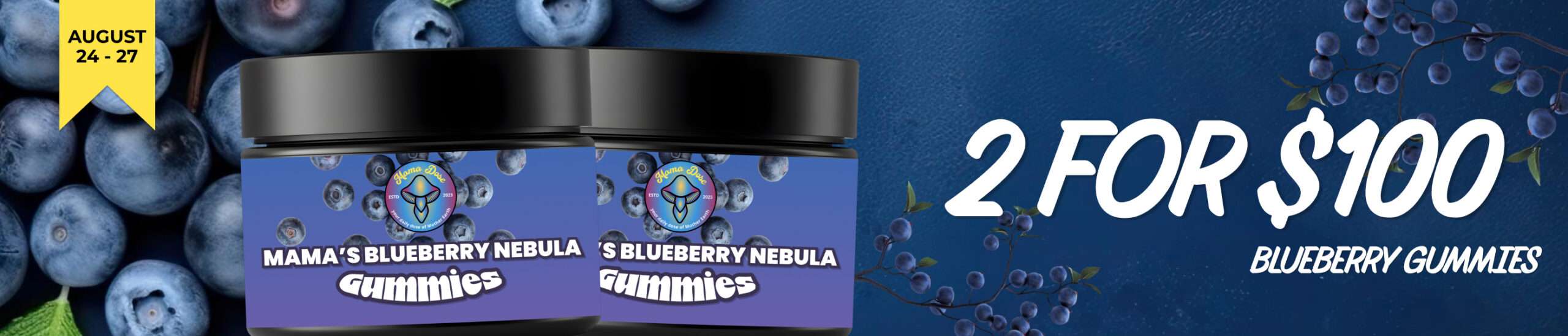 blueberry 2 for 100 web banner 1 scaled
