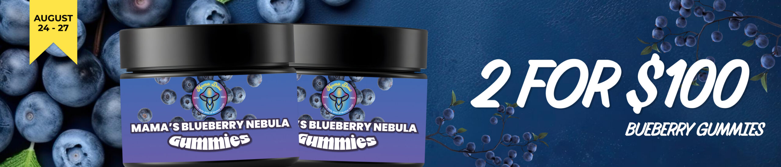 blueberry 2 for 100 web banner scaled