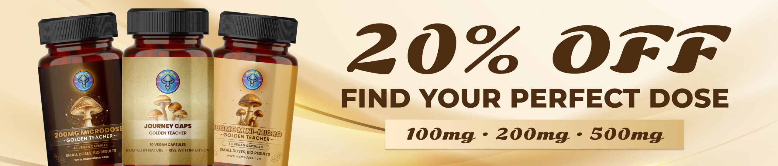 golden teachers 20 off web banner scaled