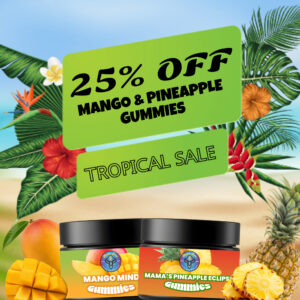 mango and pineapple 25 off 1 1 banner