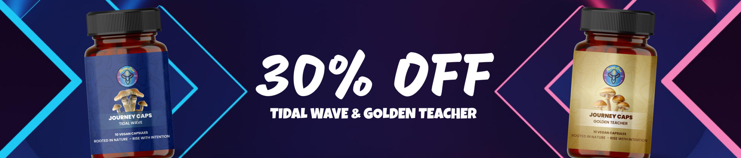 tidal wave and golden teacher 30 off web banner scaled