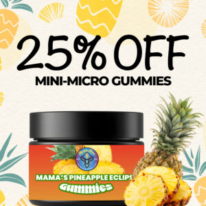 25 off pineapple 1 1 banner