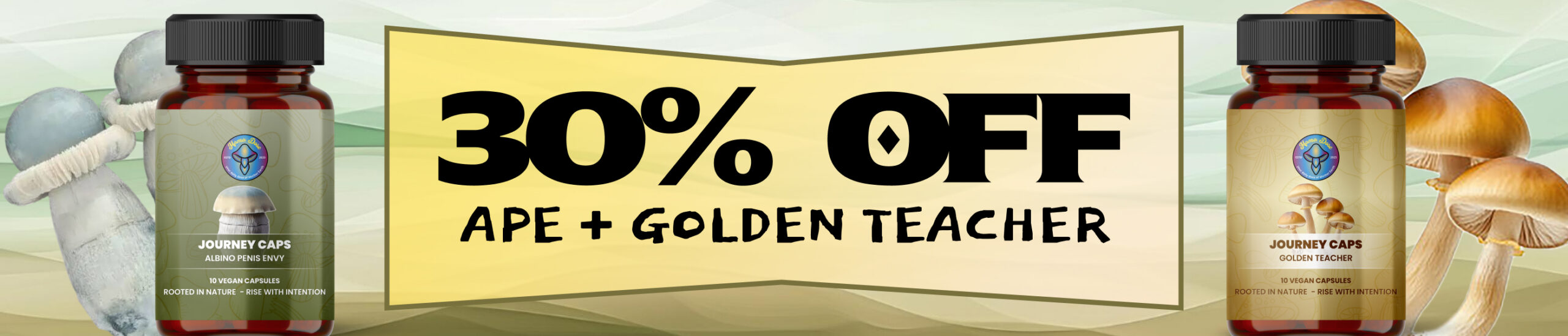 ape and golden teacher 30 off web banner scaled