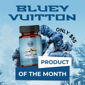 bluey vuitton product of the month sept 1 1 banner