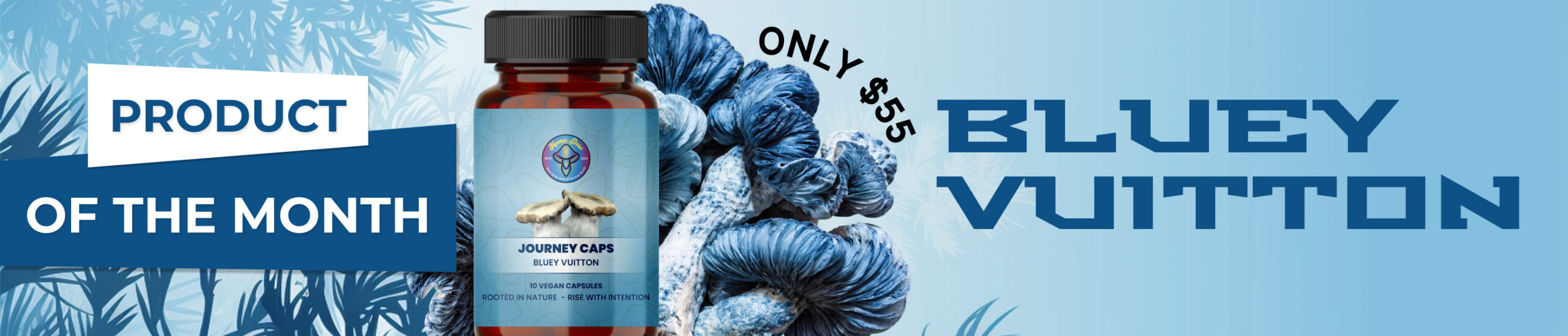 bluey vuitton product of the month sept web banner scaled