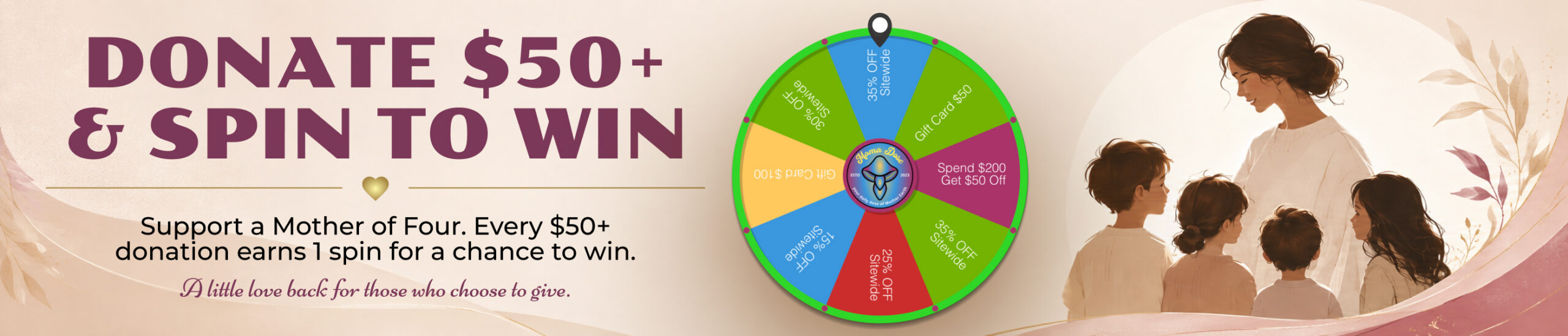 donate and spin the wheel web banner scaled