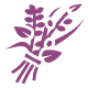 game icons herbs bundle